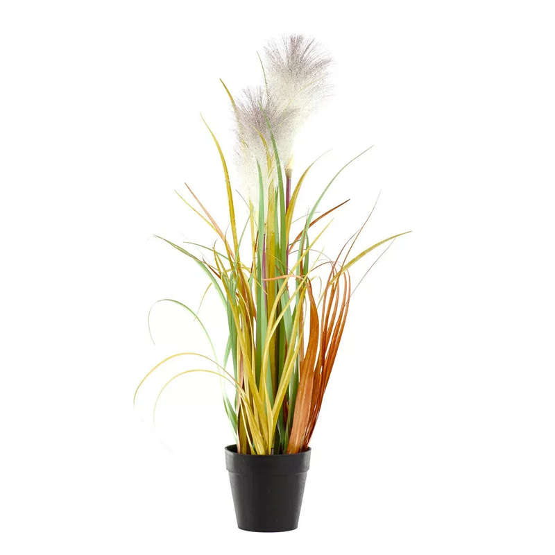Potted Plant - Dried Onion Bush 55cm