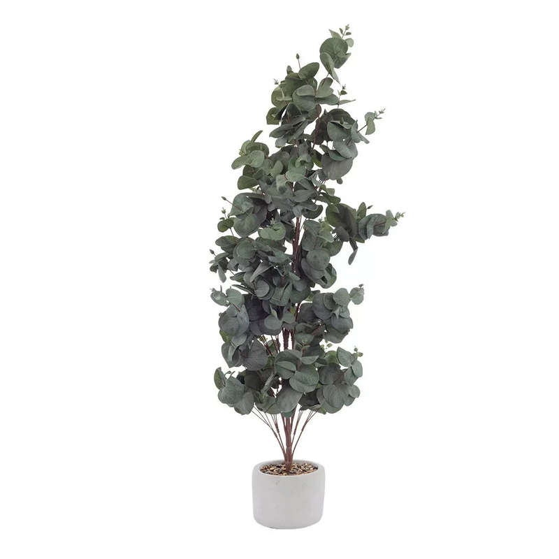 Potted Plant - Eucalyptus 85cm
