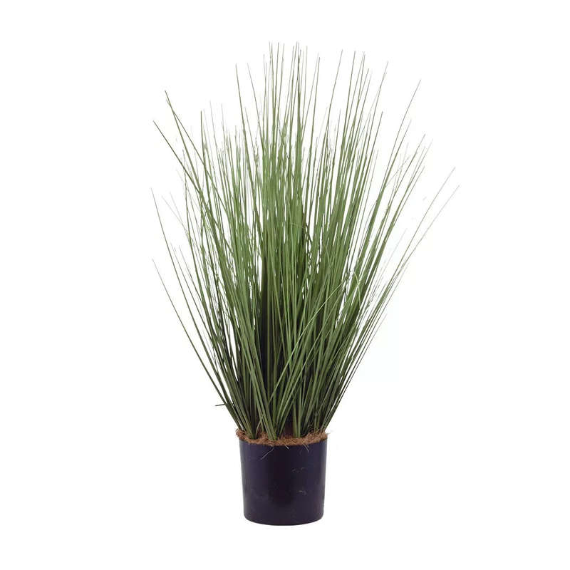 Potted Plant - Tall Grass Bush 65cm