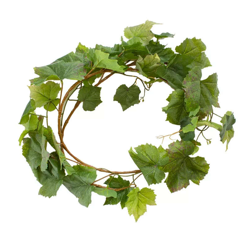 Spray - Grapevine 183cm