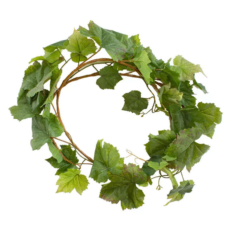 Spray - Grapevine 183cm