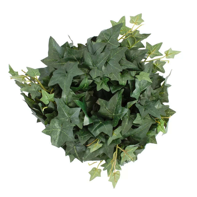 Spray - Sage Ivy 180cm