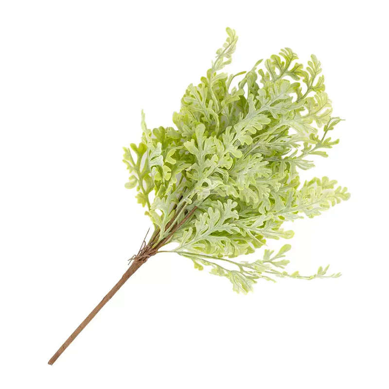 Sprig - Arugula 40cm