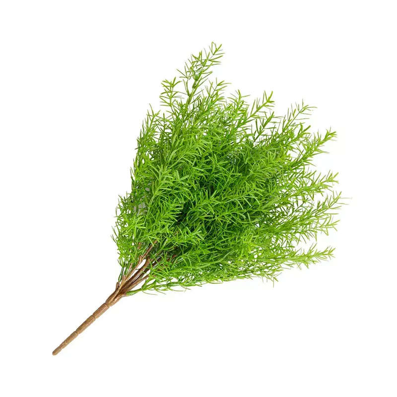 Sprig - Asparagus Fern Bush 45cm