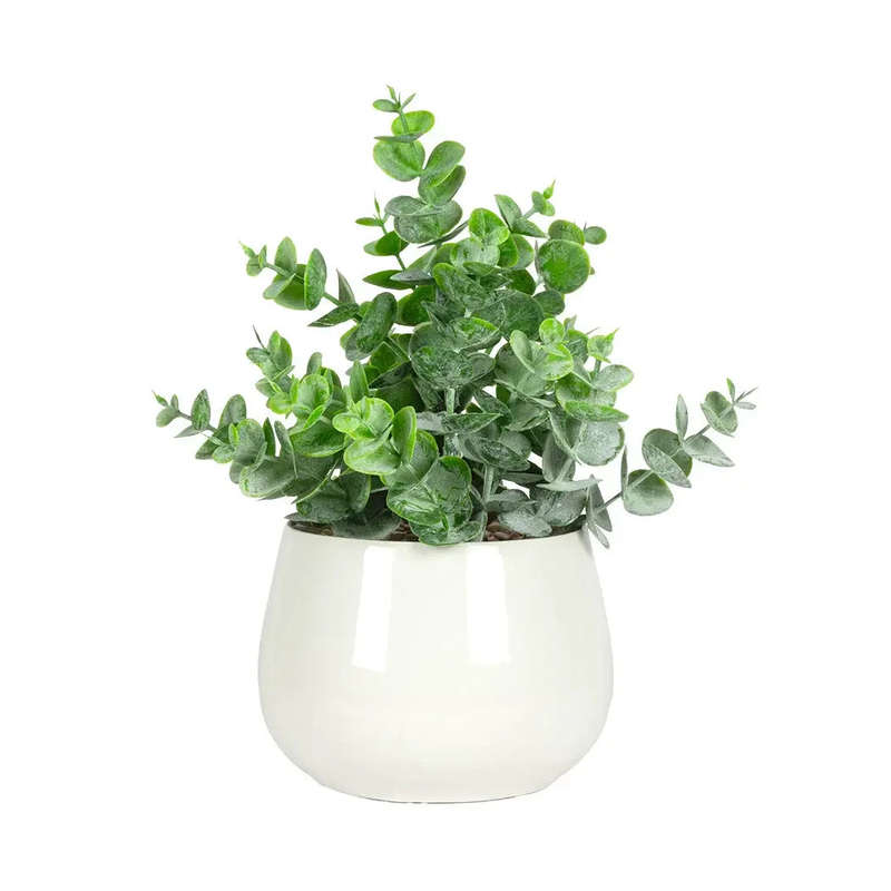 Succulent Bush - Potted Ceramic
