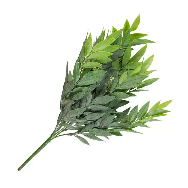 Sprig - Ruscus Bush 45cm