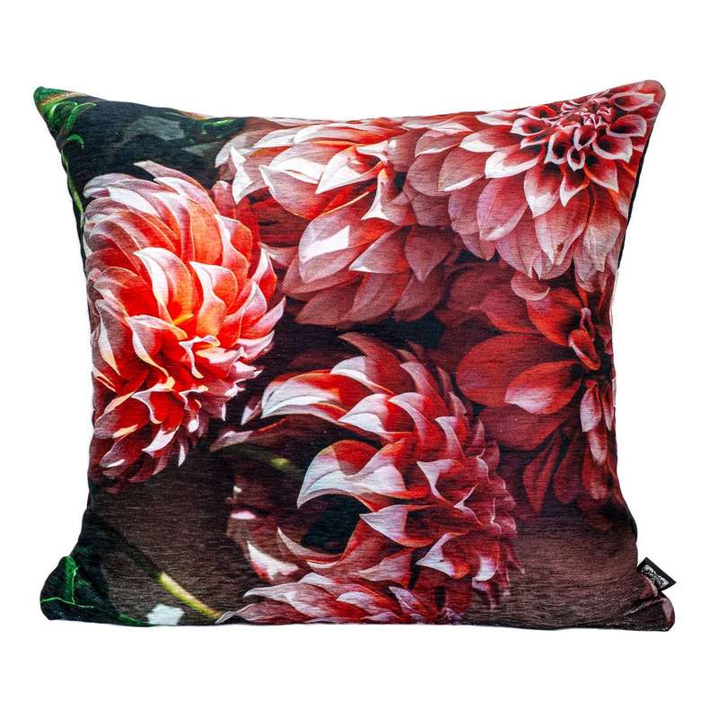 Scatter Cushion Cover Only - Ebony Floral 55 x 55 Chenille
