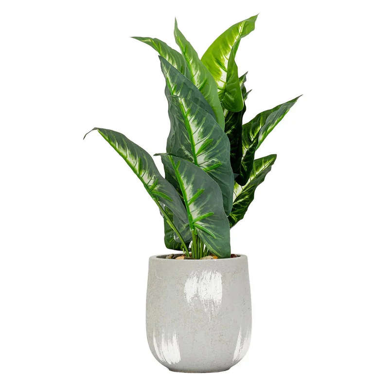 Evergreen Leaves - Potted 42cm