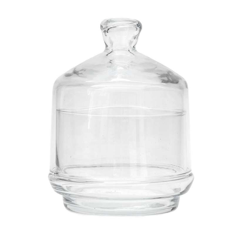 Glass Dome - Mini Jamjar