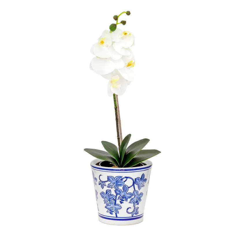 Orchid - White Classic in Plain Pot 55cm