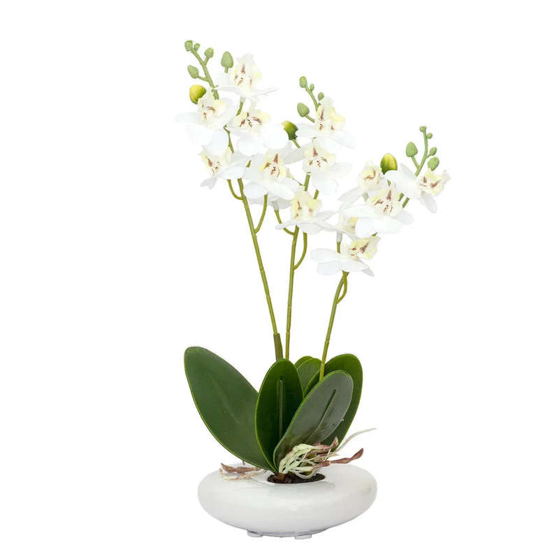 Orchid - White in Smooth Planter 32cm