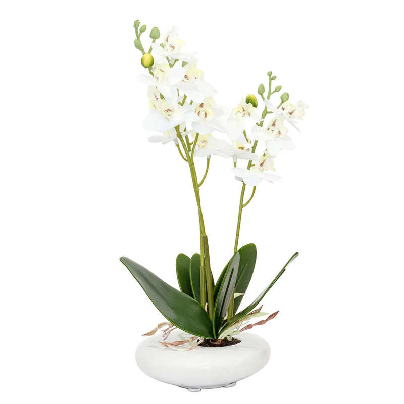 Orchid - White in Smooth Planter 32cm