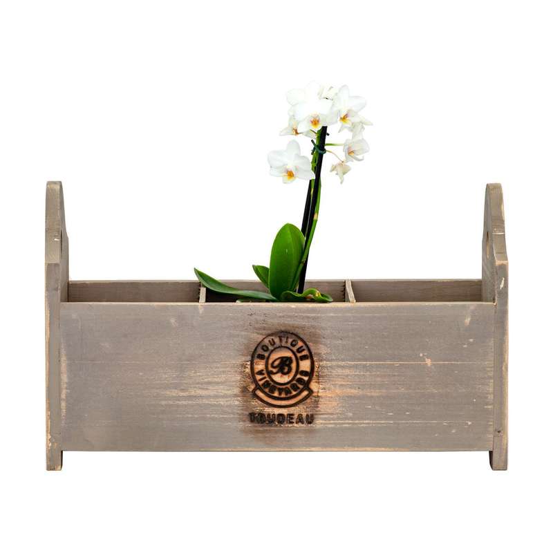 Condiment Holder - Wood French
