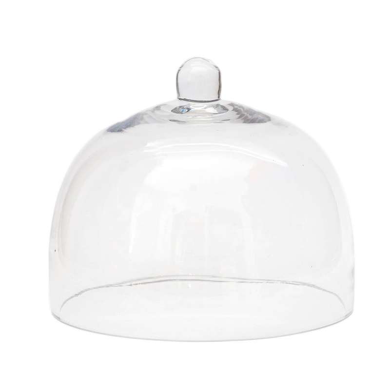 Glass Dome 16cm