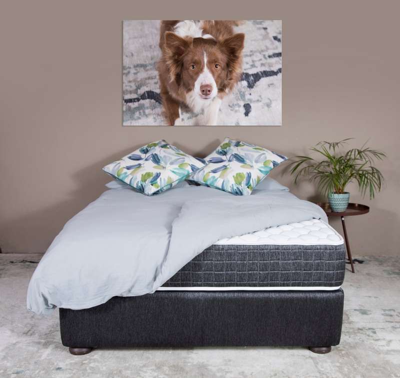 Dream Stack Mattress - ThinkCosy