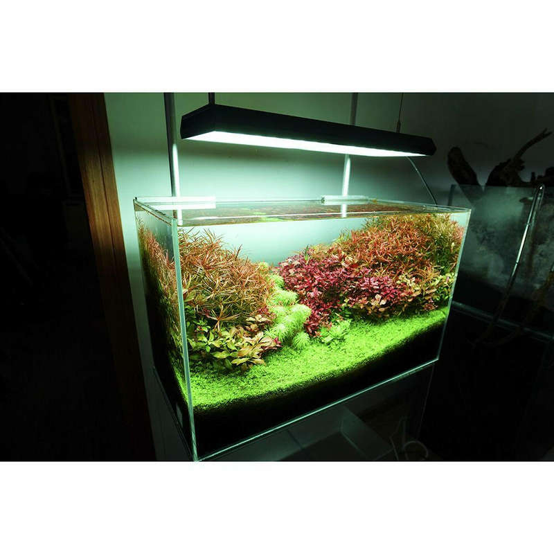 Chihiros - RGB Vivid II 130W LED light with built-in Bluetooth controller(10th Anniversary Edition)