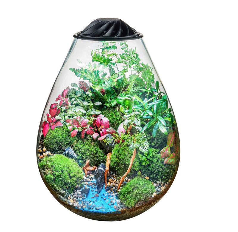 Chihiros ECO Ping Terrarium with LED