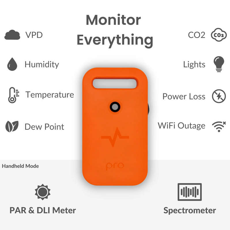 Pulse Pro Smart Environmental Monitor
