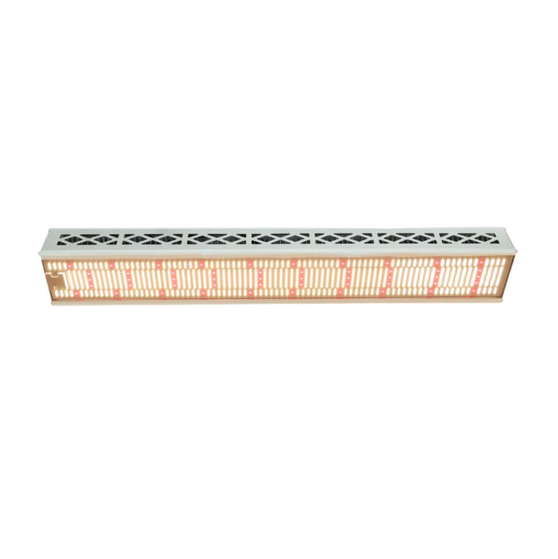 600W Greenhouse Samsung LM301B LED Grow Light