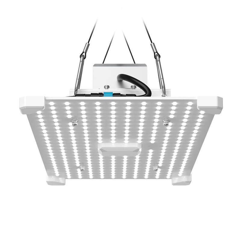 100W LUMii BLACK Blade LED Grow Light