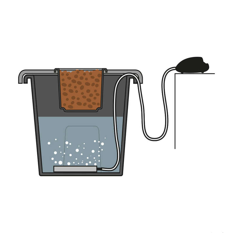DIY Deep Water Culture Hydroponic System (DWC) | AEROS