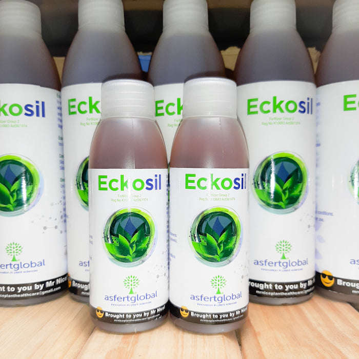 Eckosil Silicon Supplement 100ml