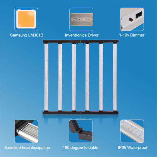 640W Samsung LM301B LED Grow Light | Gecko