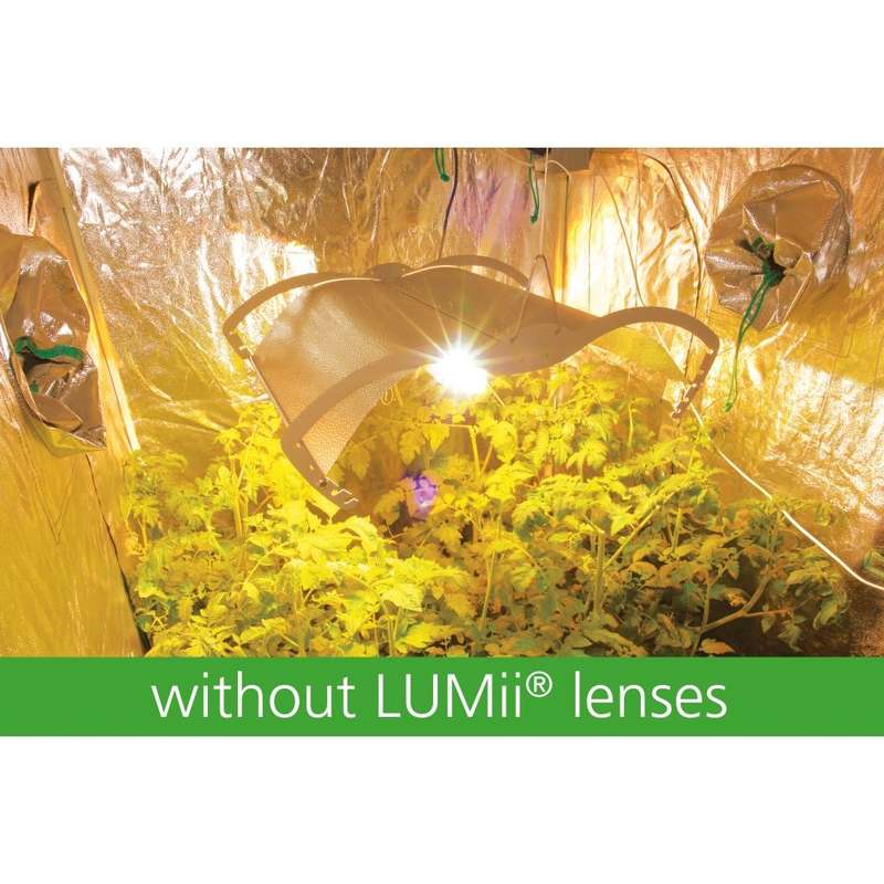 Growroom Lenses