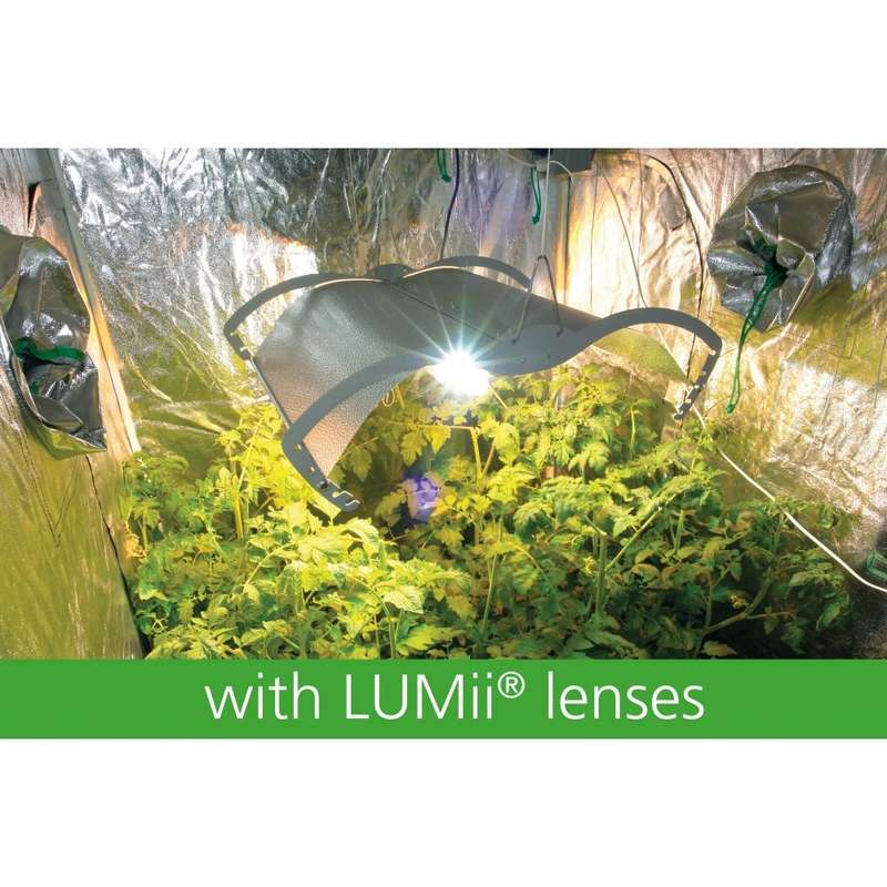 Growroom Lenses