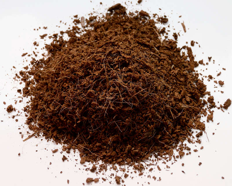 100% Pure Coco Peat Block 5kg