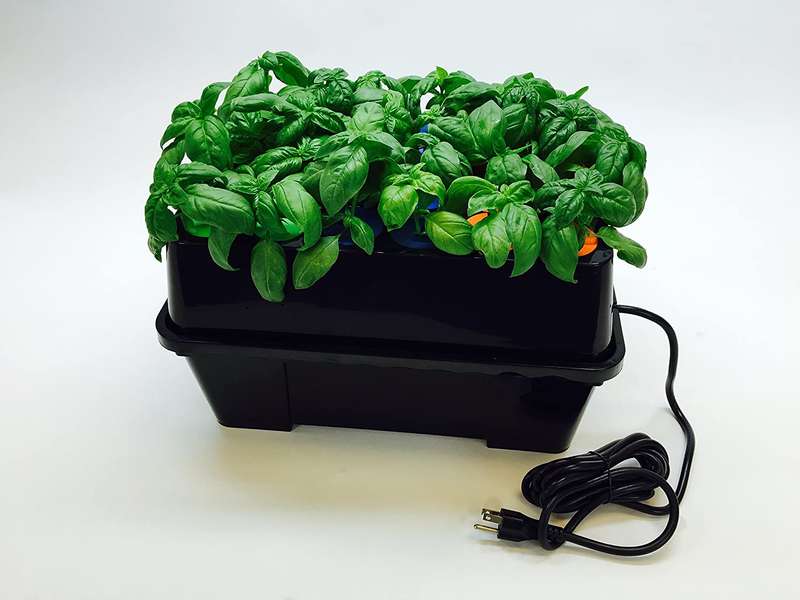 Clone Machine 24 Plant Aeroponic Hydroponic System - Plant!t Propagator