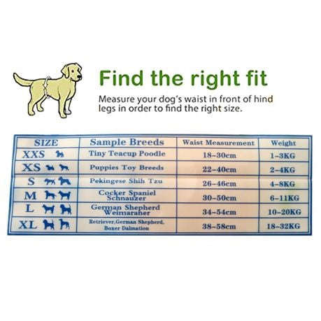 Pet Soft Medium Disposable Female Dog Diapers  Pack of 12