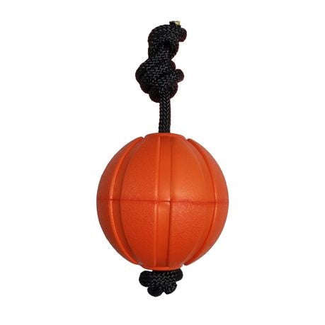 Nunbell Dog Floating Ball Rope Toy - Removable