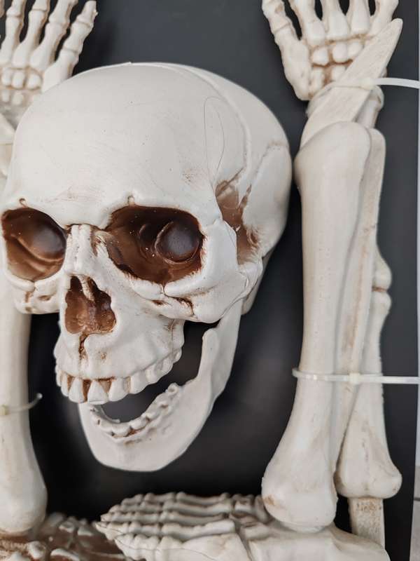 Halloween Set Of Bones, Skulls, Feet, Hands, Fore Arms and Shins