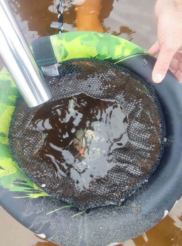 Prawn Keepr, innovative mobile shrimp catcher - LOK