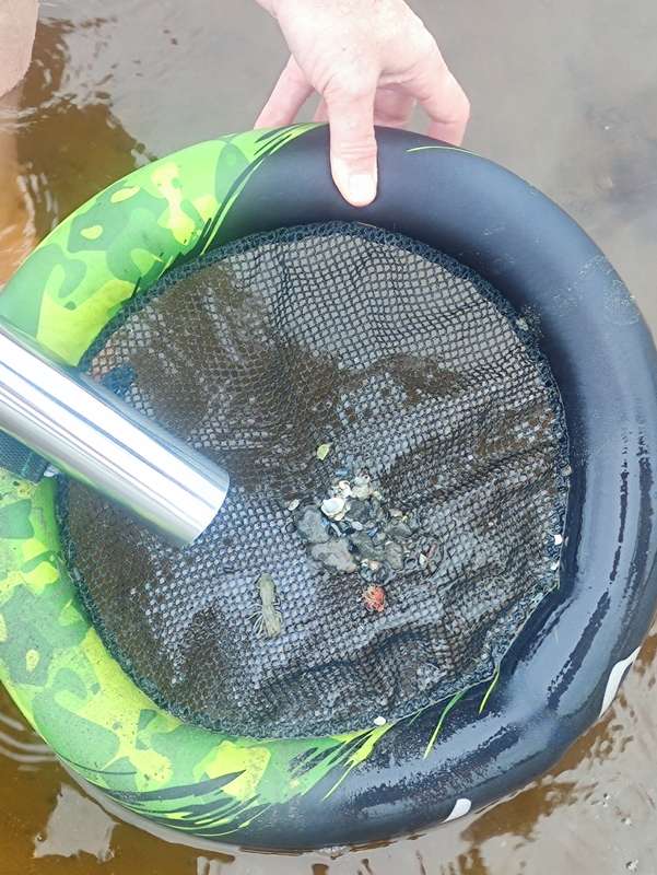 Prawn Keepr, innovative mobile shrimp catcher - LOK