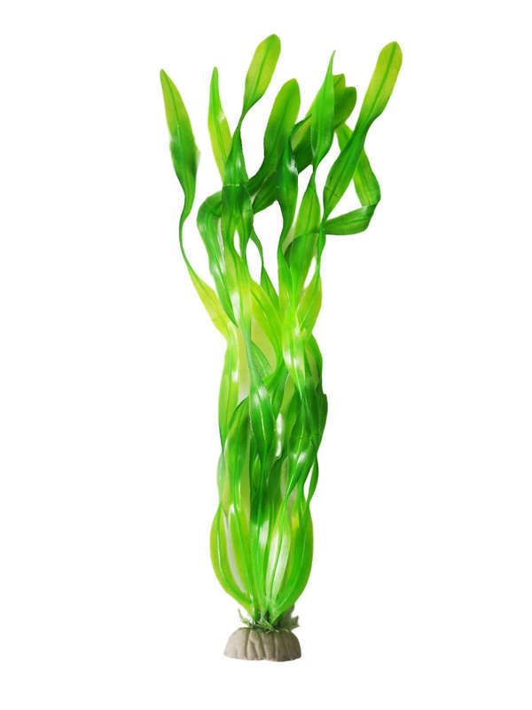 Aquarium Artificial Plants - 36cm - Thin Seaweed