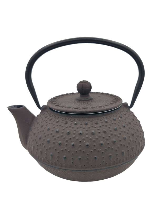 The Cildan Tea Merchant Cast Iron Teapots 600ml
