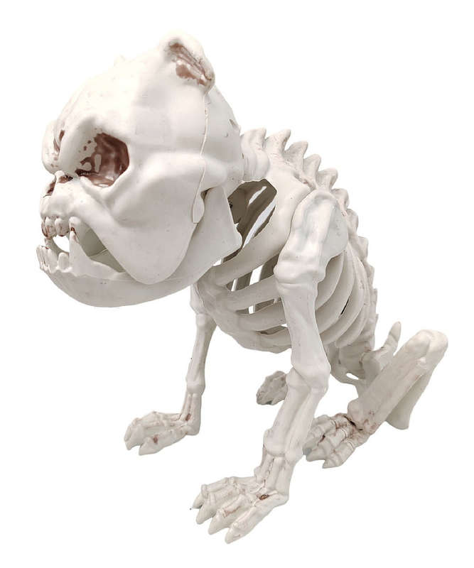 Halloween Dog Skeleton With Adjustable Jaw