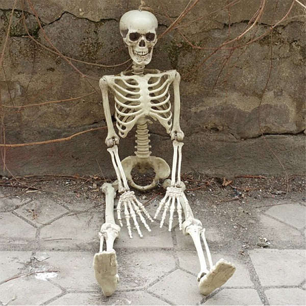 Full Sized Adjustable Skeleton 160 cm