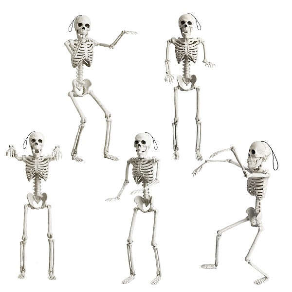 Halloween Skeleton - Plastic Adjustable Skeleton