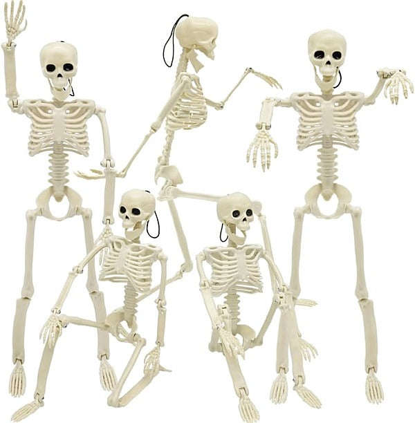 Halloween Skeleton - Plastic Adjustable Skeleton