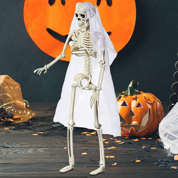 Halloween Skeleton - Plastic Adjustable Skeleton
