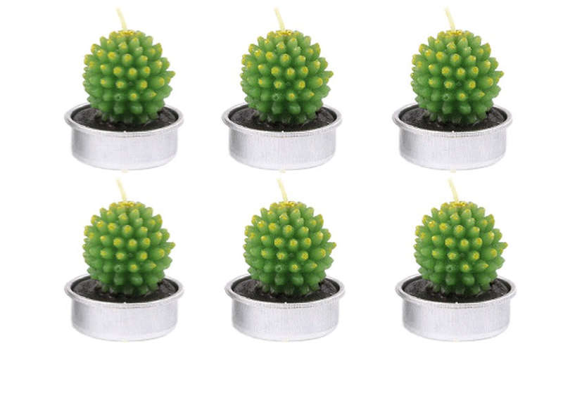 Tealight Candle Succulent Plant Designs 6 Pack