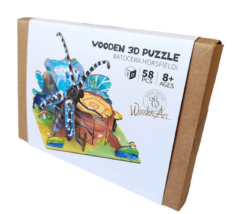 Wooden 3D Puzzles