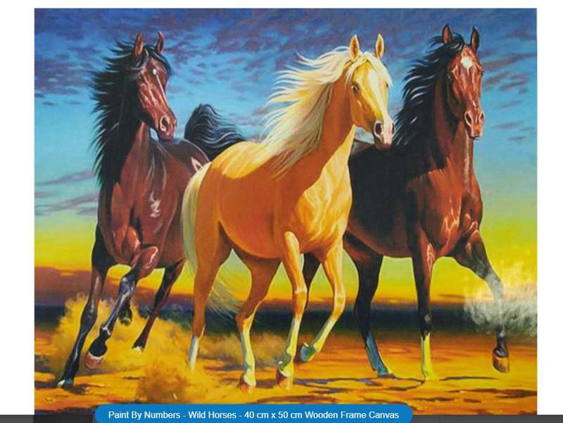 Paint By Numbers - 40 cm x 50 cm (various)