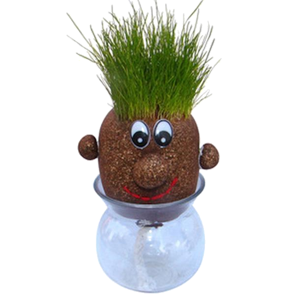 Growing Your Own Grass Heads 2 types, smiley and original
