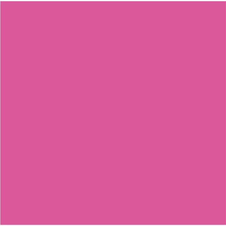 Cricut Infusible Ink Transfer Sheets 30x30cm 2-Sheets Party Pink 2007487