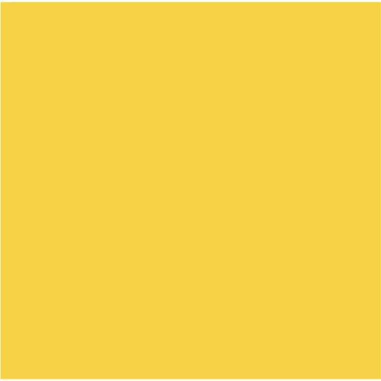Cricut Infusible Ink Transfer Sheets 30x30cm 2-Sheets True Yellow 2007498