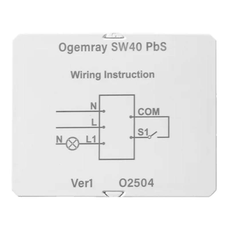 Shelly Ogemray 25A Smart Relay